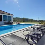 Pet Friendly In