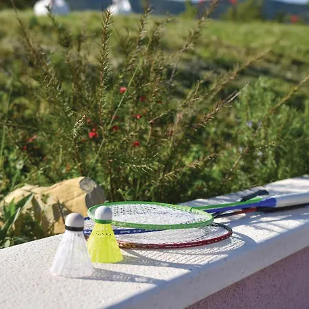 Pet Friendly In